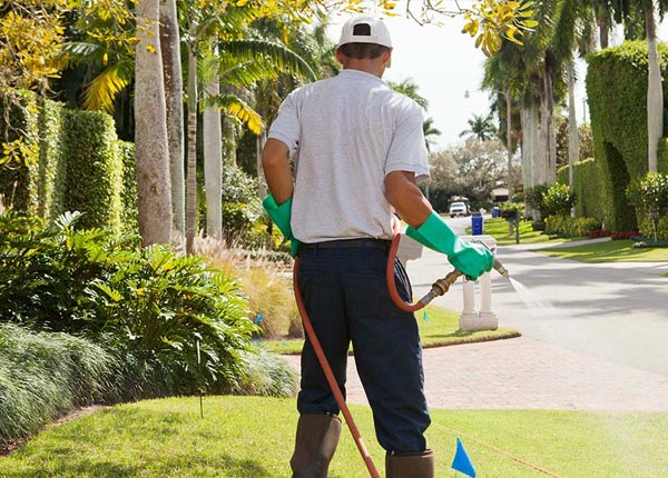 About Marianna WV Pest Control Pros